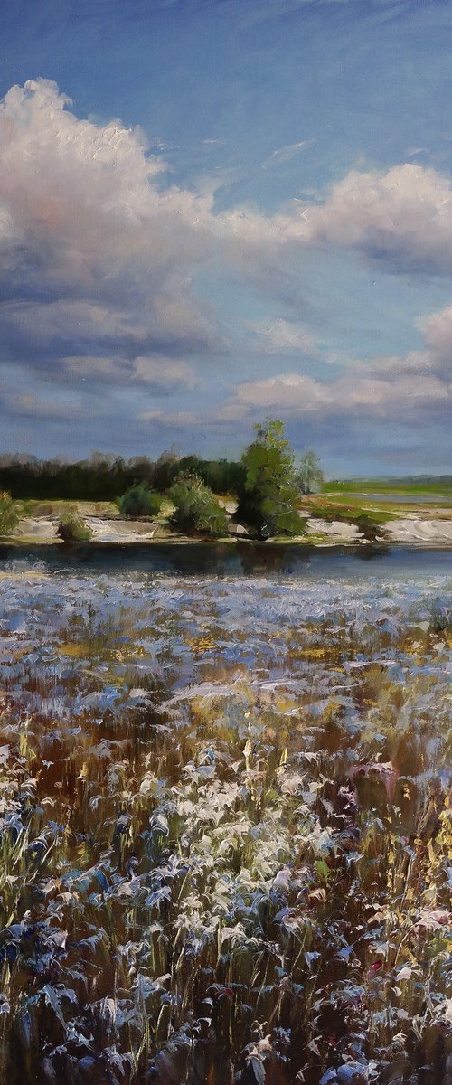 "Song of the Ukrainian Field" by Gennady Vylusk