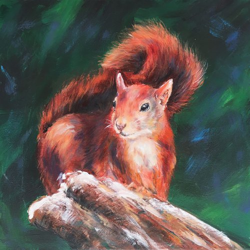 curious squirrel by Ksenia Lutsenko