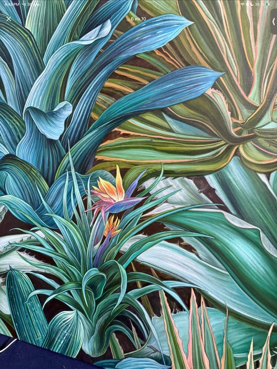 Verdant Rhythm