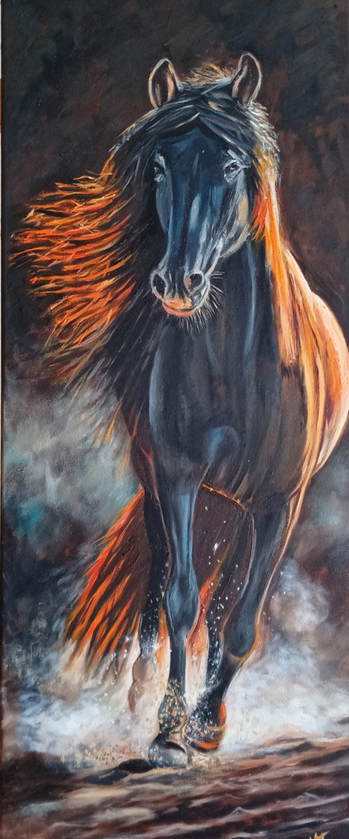 Black Horse by Ira Whittaker