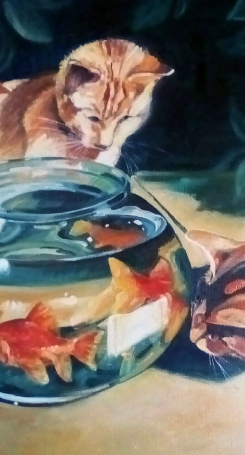 Fish and cats by Tatyana Ambre