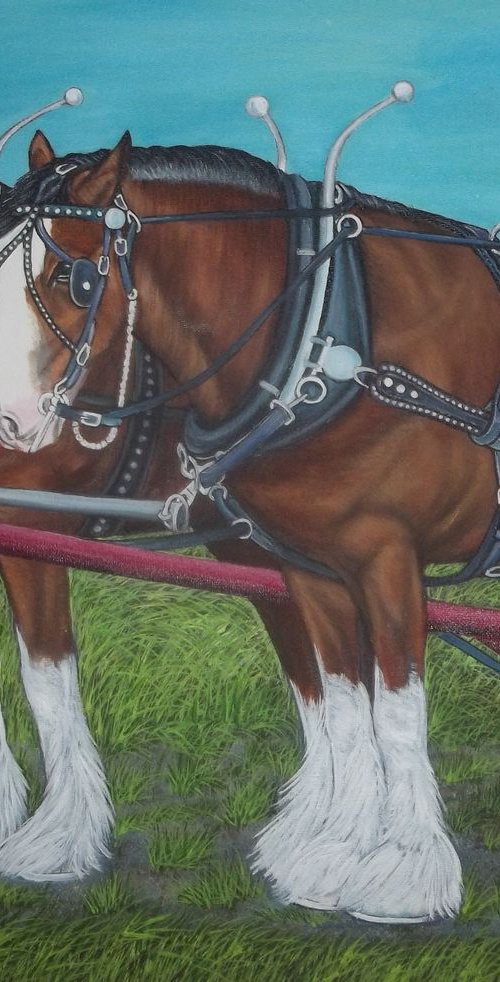 Clydesdale horses, Draft horses by Sofya Mikeworth