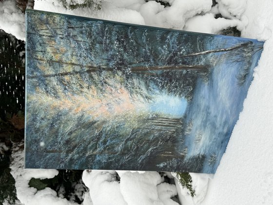 Enchanted Trail