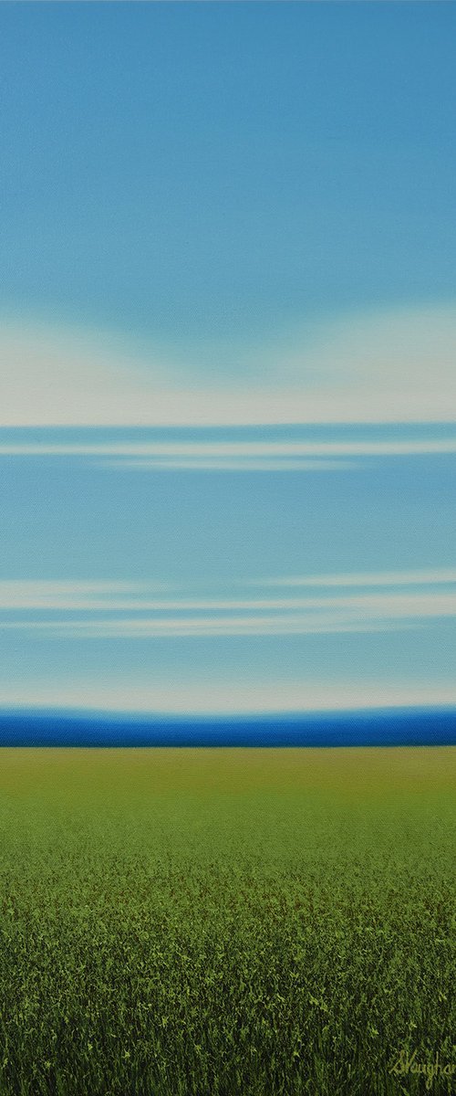 Summer Meadow - Blue Sky by Suzanne Vaughan