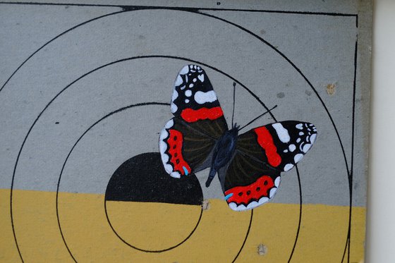 Red admiral on target