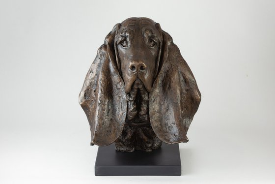 Basset Portrait Bronze resin