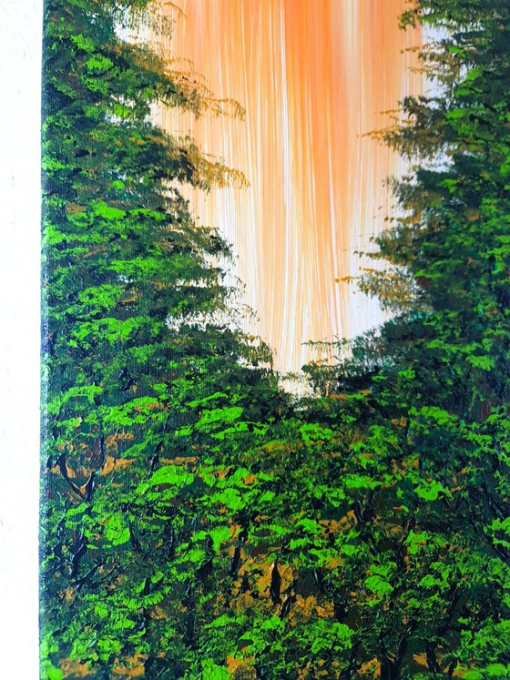 Nice Forest 2