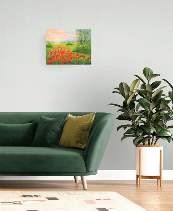 Poppy field by sunrise