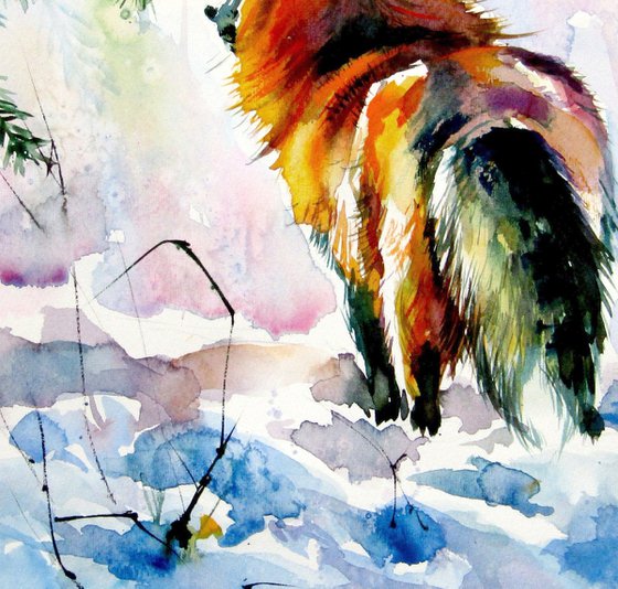 Red fox watching wintertime