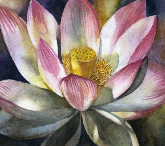 Lotus blossom watercolor