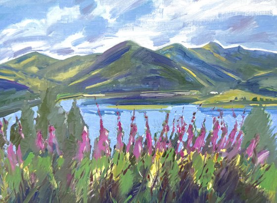 Loch Lomond, willowherb