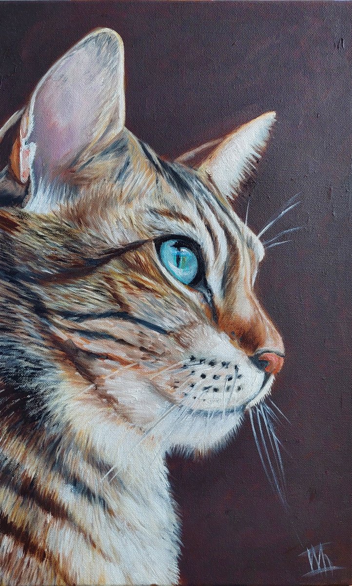 Photorealistic Animal Oil Painting By Ira Whittaker, 12 X 19, Blue Eyes, Original Artwork
