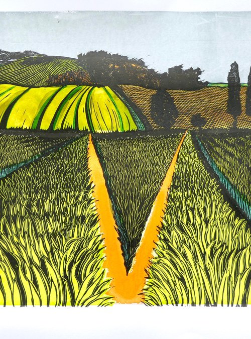 Barley above Gilling West by Keith Alexander