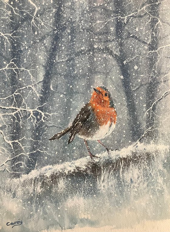 Winter Red Robin