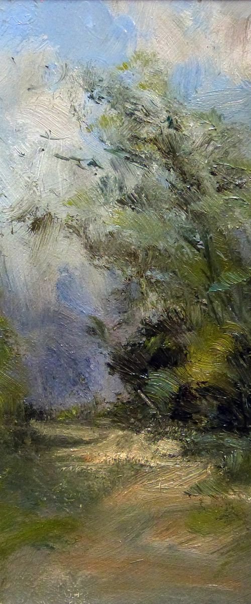 Gust of Wind by Pascal Giroud