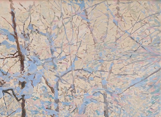 Apple Trees Covered in Snow