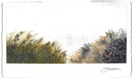 12_Landscape-II