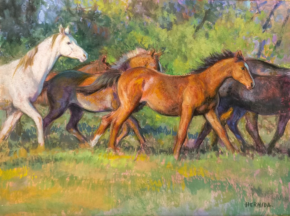 Galloping horses by Gabriel Hermida