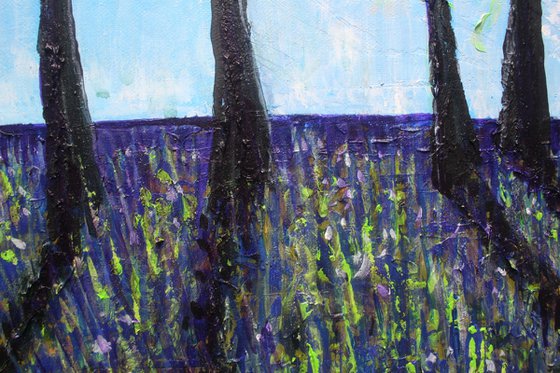 Micheldever Morning VI