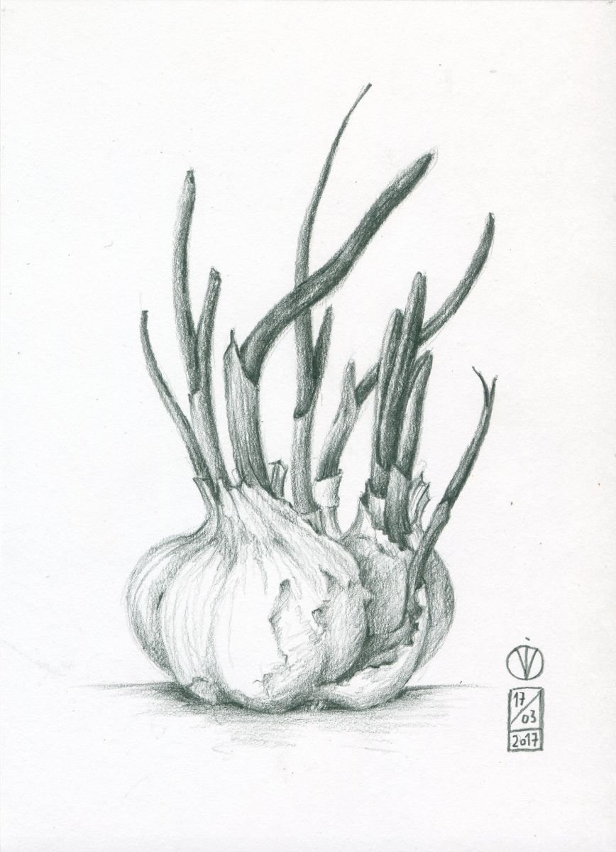 Spring Garlic by Vio Valova