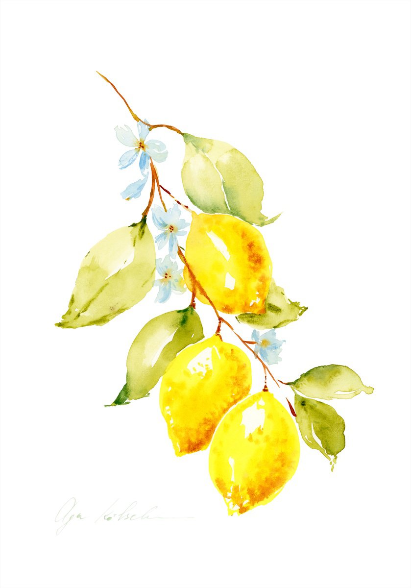 Lemon branch watercolor by Olga Koelsch