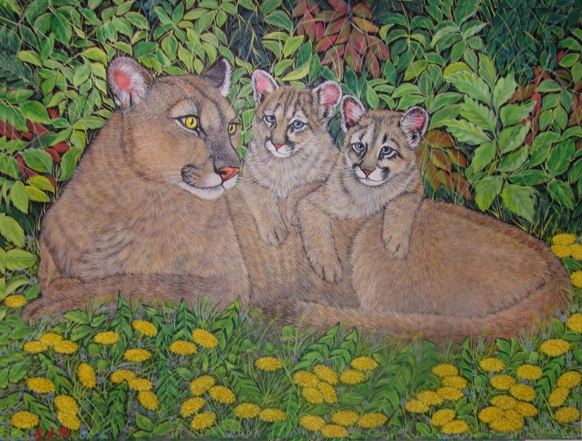 Mountain lion ( puma, cougar, panther) with her Kittens by Sofya Mikeworth