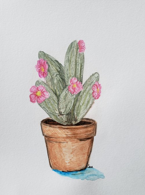 Cactus - Flower - "Succulent" by Katrina Case