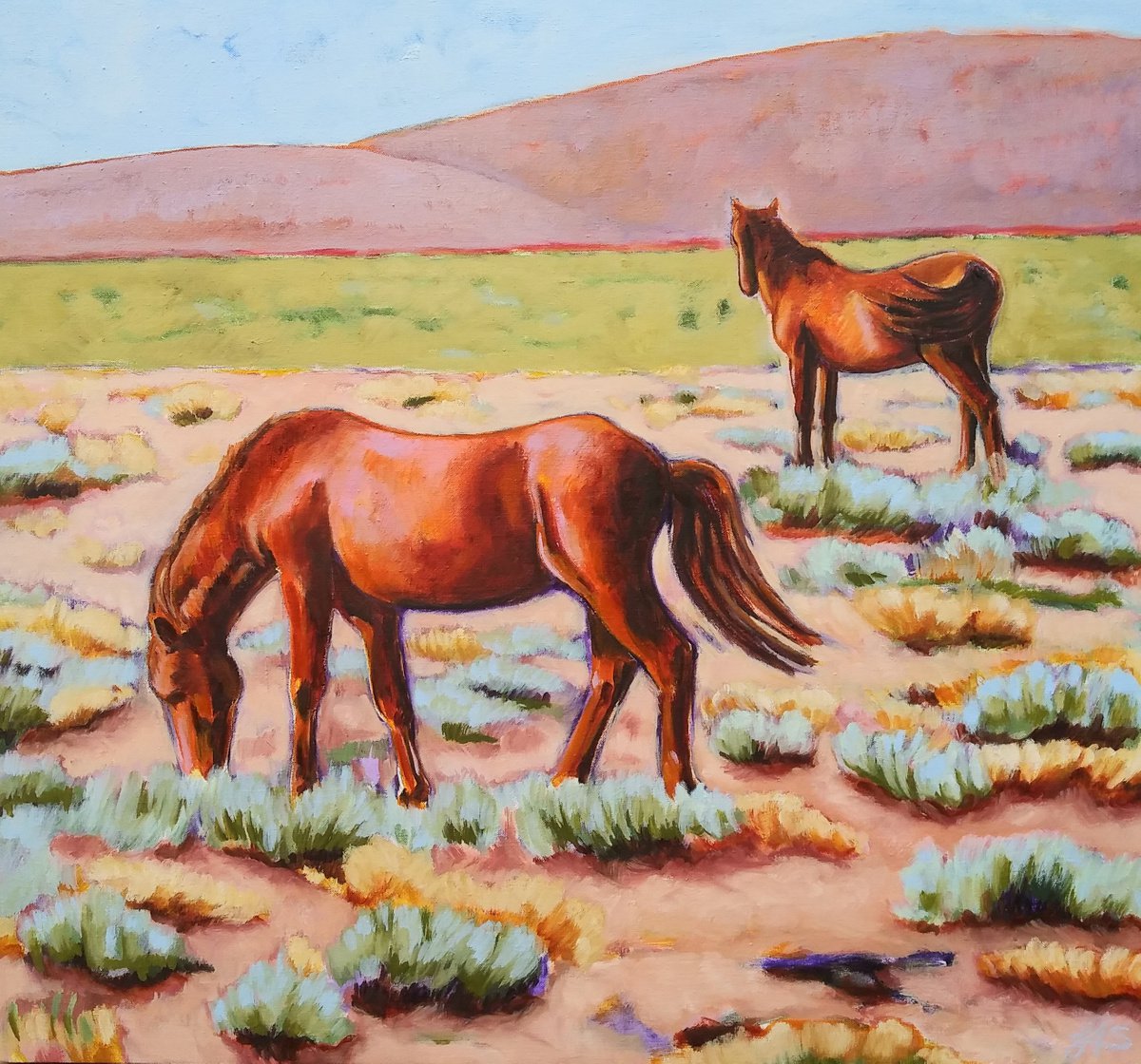 Impressionistic Animal Oil Painting By Lorie Schackmann, 28 X 26", Wild Horses, Original Artwork