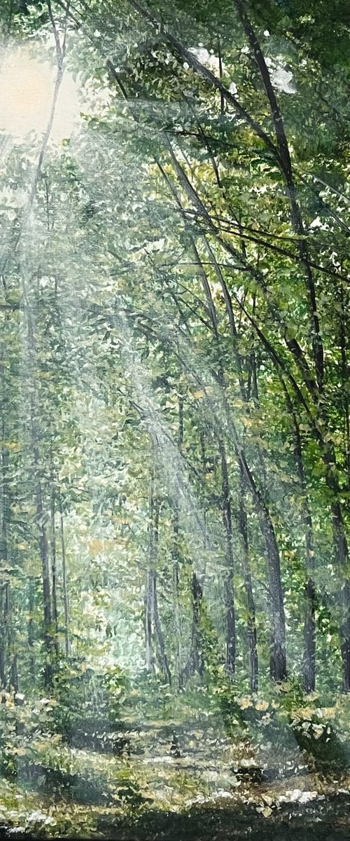 Where The Light Finds You by Victoria Obolensky