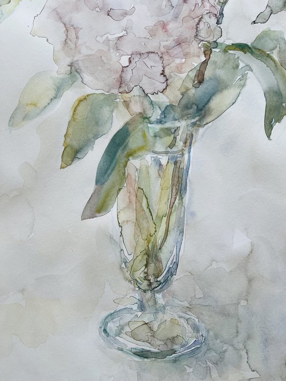 Peonies 50x65 cm 2025