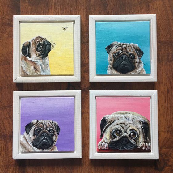 Pug on turquoise (miniature)