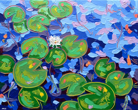 Tasman Lily Pond 30