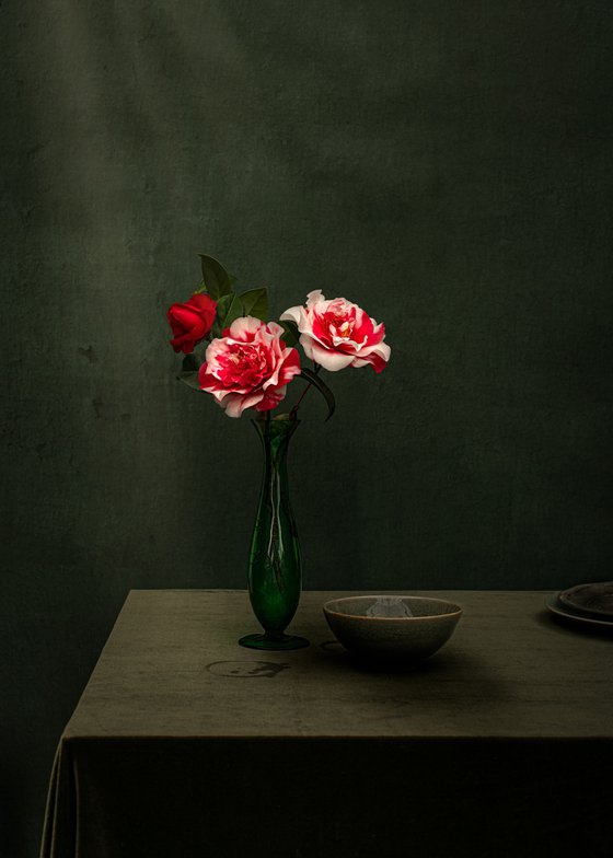 Greta's Camellias II