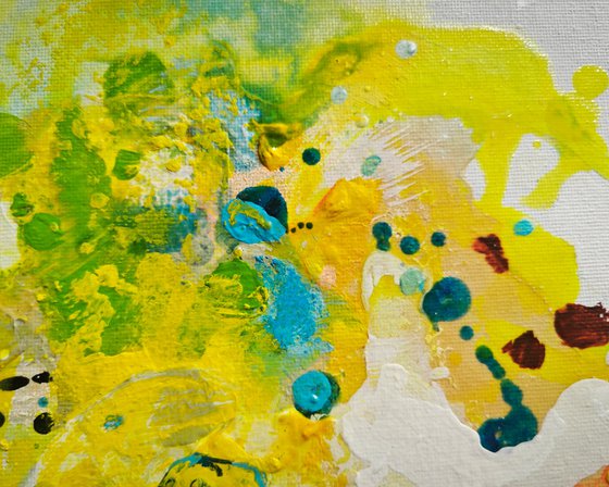 Tender Springlight N°4