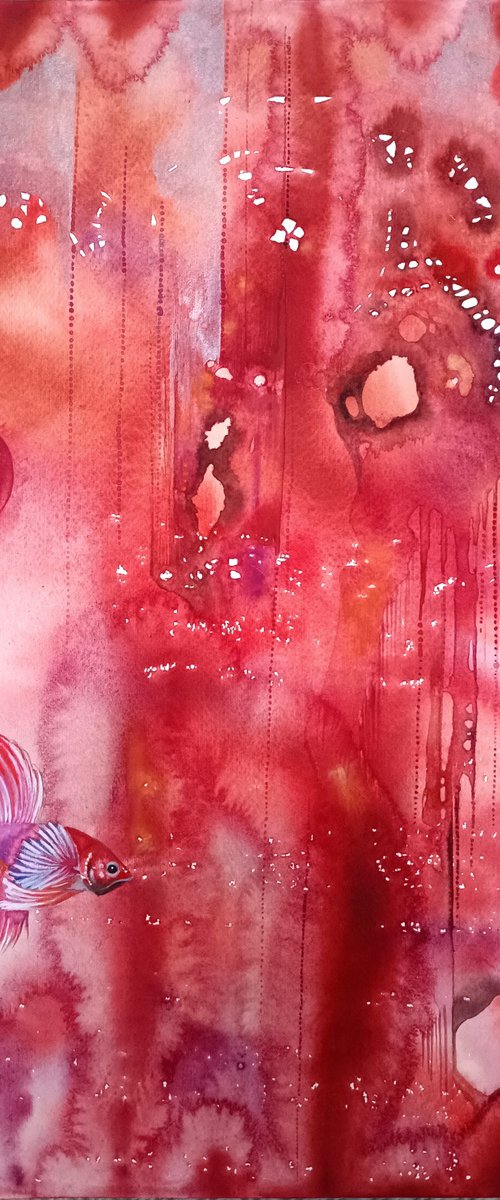 Rosso 4, il pesce combattente by Ilaria Finetti