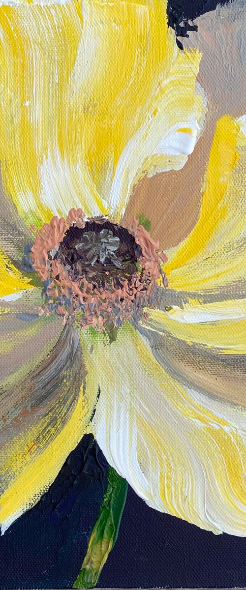 YELLOW POPPY by Oksana Petrova