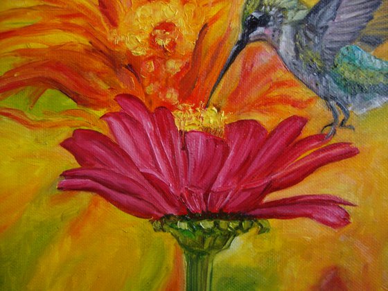 Hummingbird