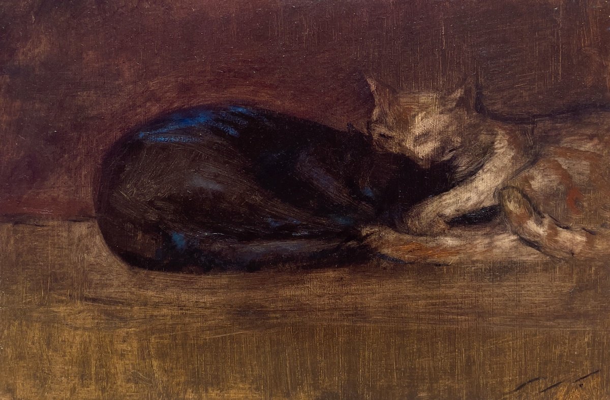 Two sleeping cats by Mazen Ghurbal
