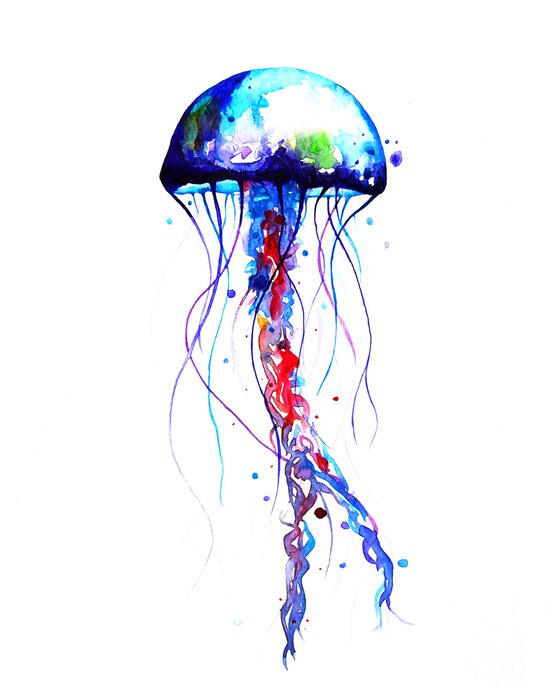 Jellyfish, watercolor