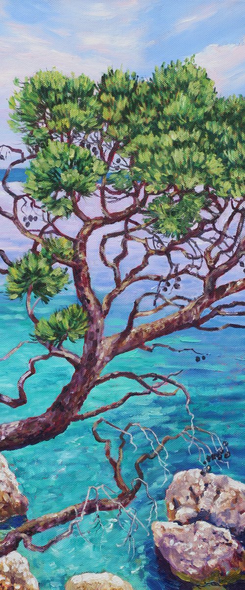 Cypress by the sea by Zoe Elizabeth Norman