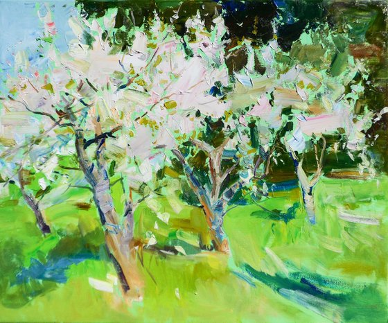"Apple orchard "