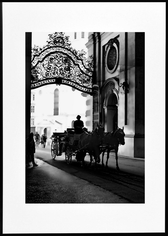 " Vienna. Austria. Midday silhouette "