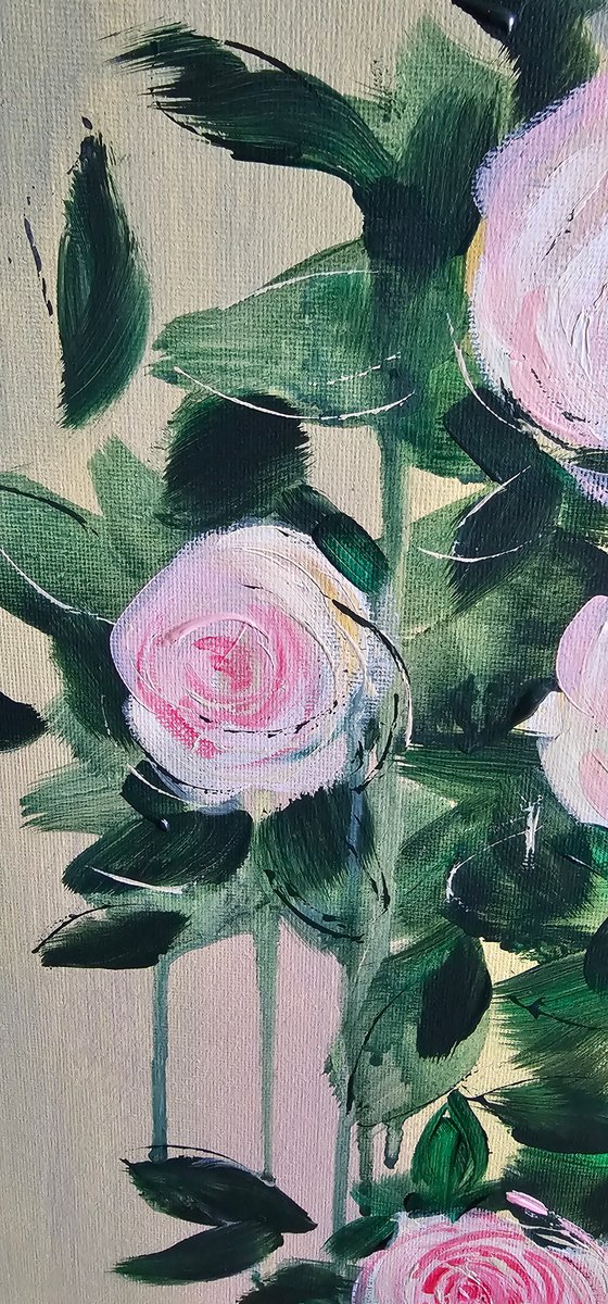 Pierre de Ronsard blooming roses bush