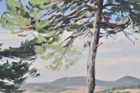 Mézenc, late summer