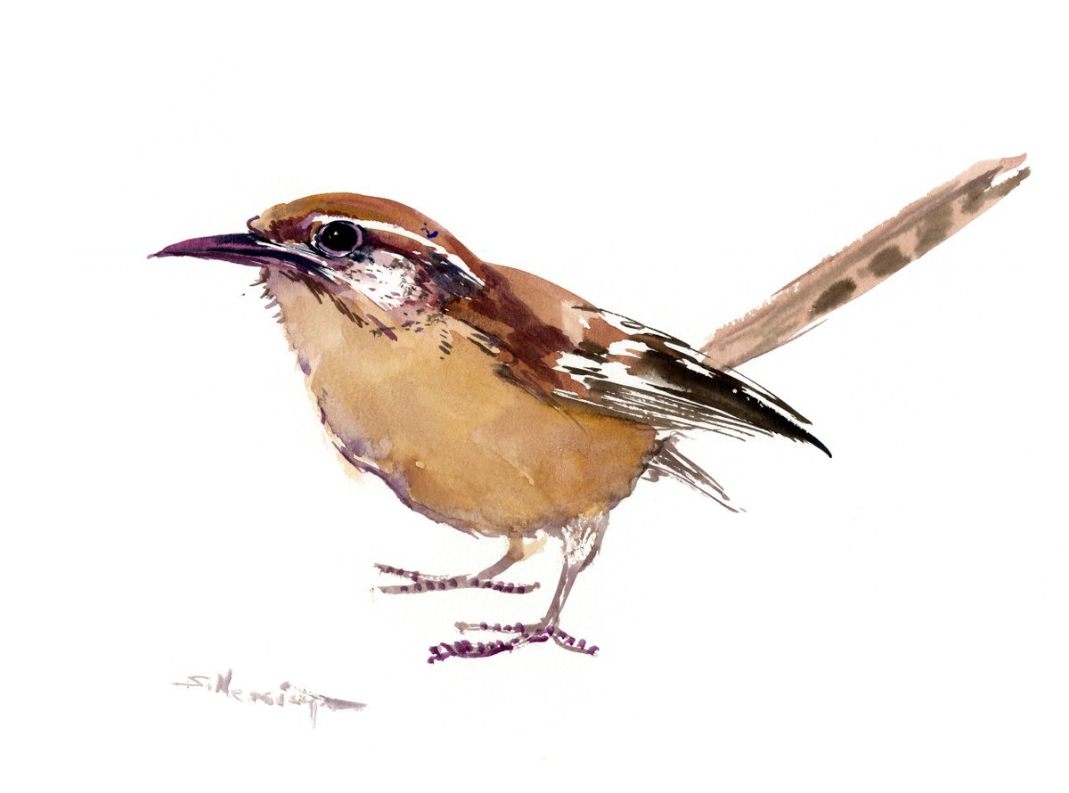 Carolina Wren by Suren Nersisyan