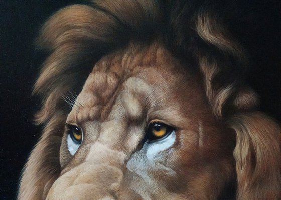 Lion portrait - 1