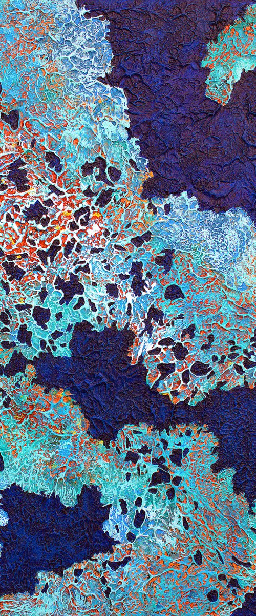 Lowland Lace by Nancy Eckels