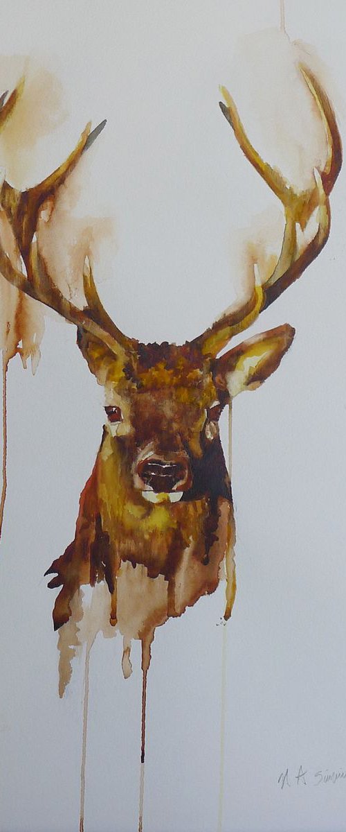 Stag Head by Helen Sinfield