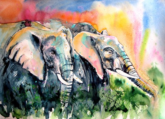 Elephants together