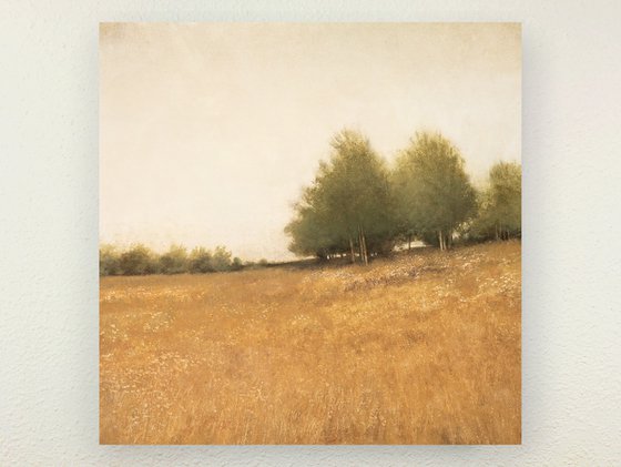 Hillside Trees 250314